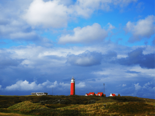 TExel