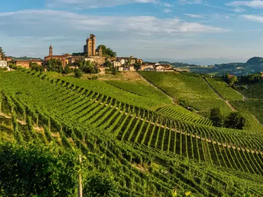 Italië - Piemonte - omgeving Alba