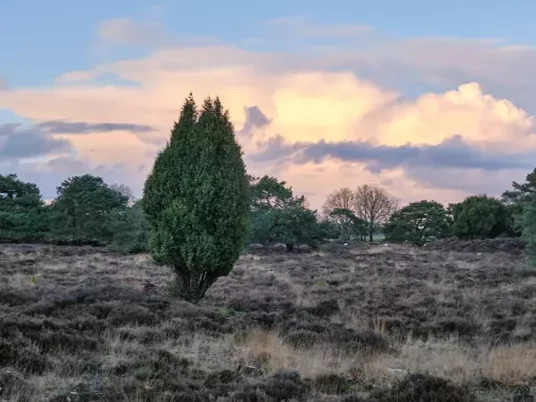 60+ kerstreis Drenthe