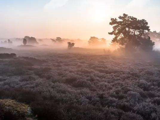 60+ kerstreis Drenthe