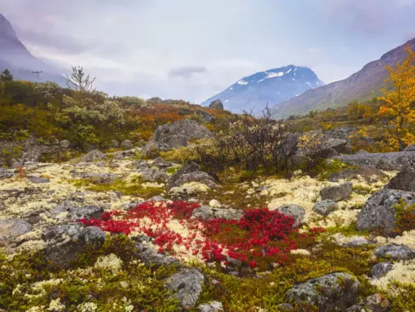 Jotunheimen gebergte in Noorwegen