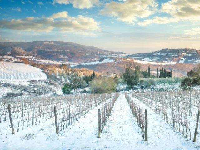 Toscane winter