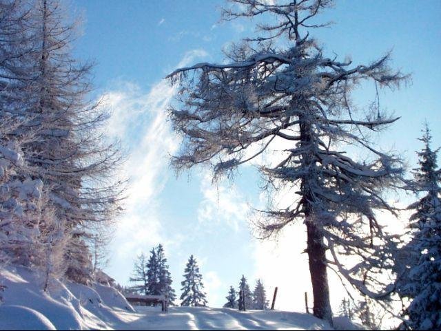 Oostenrijk_Winterlandschap ©WTG