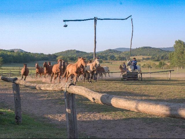 Hongarije_Poesta Paarden Ranch