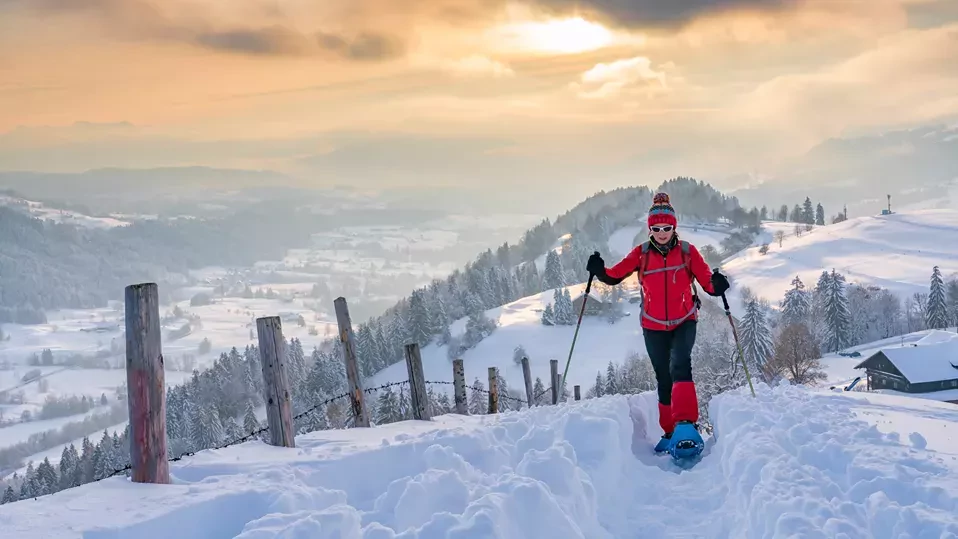 Bregenzerwald, Vorarlberg, Oostenrijk