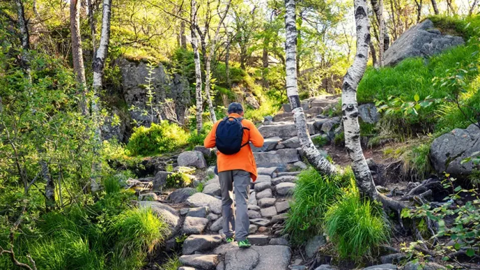 NO-Preikestolen wandelaar trap
