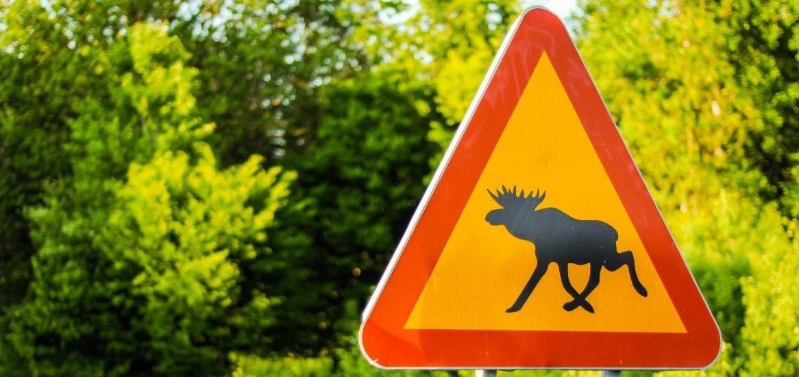 Eland