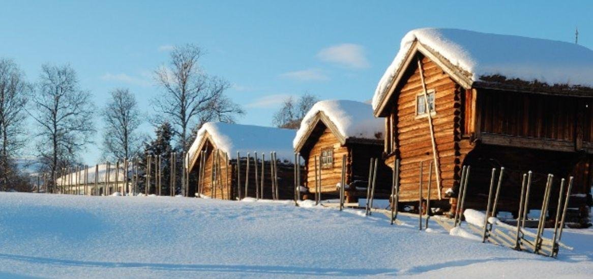 Noorwegen winter