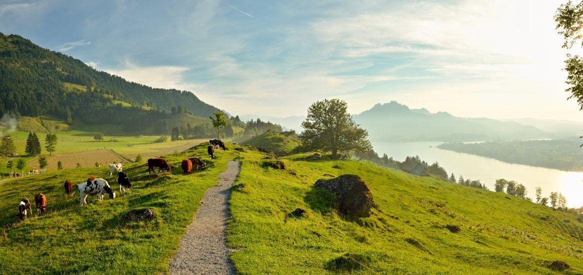 Seebodenalp
