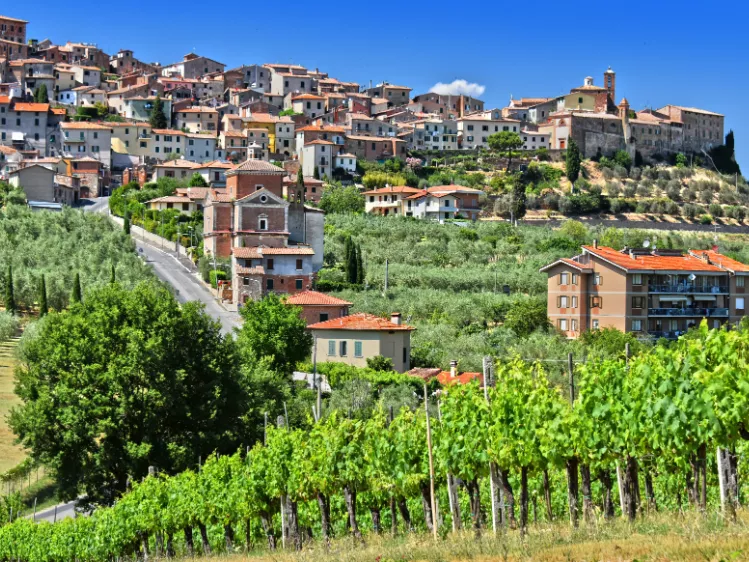 Wijngaarden in Chianciano Terme