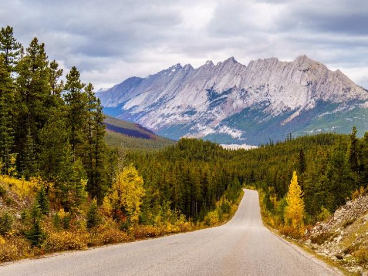 Canada - Jasper N.P. - autoweg