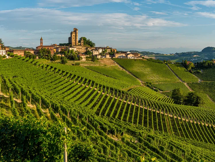 Italië - Piemonte - Alba