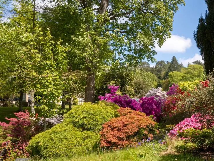 Wales - Bodnant Gardens