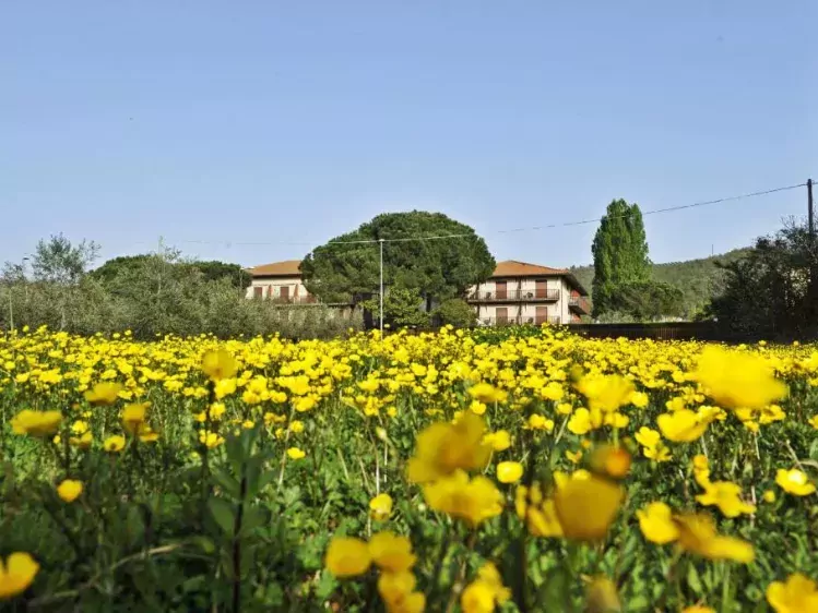 Hotel Torricella bij Lago Trasimeno