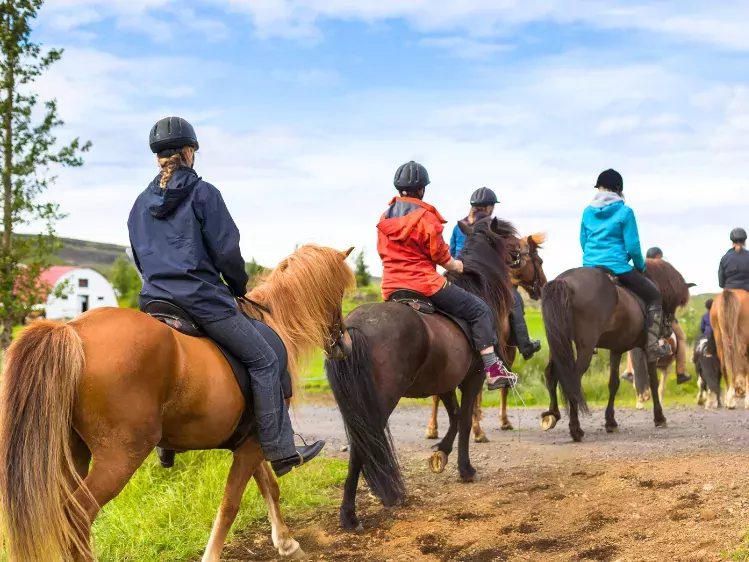 Oad Groepsreizen op maat - paardrijden