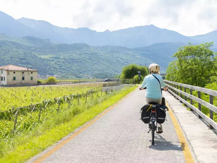 Fietser van Oad langs wijngaarden in Italië