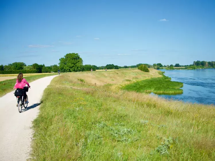 Fietser bij rivier Loire in Frankrijk