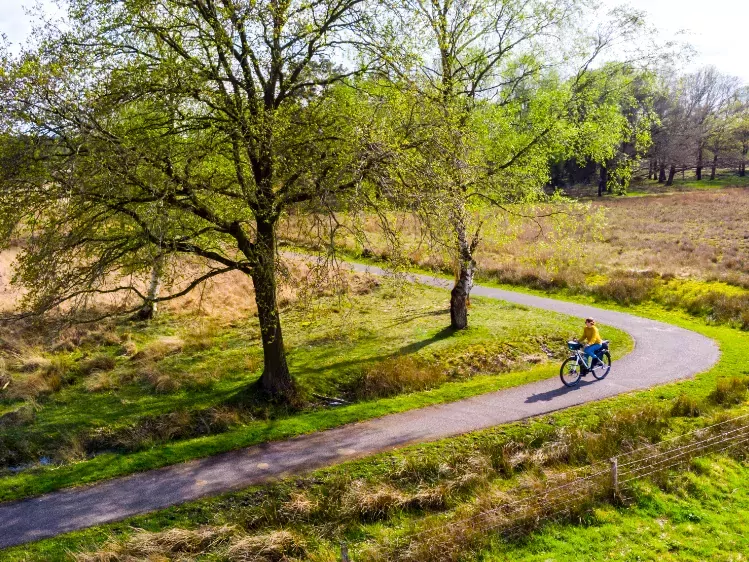 Fietser in een natuurgebied in Drenthe