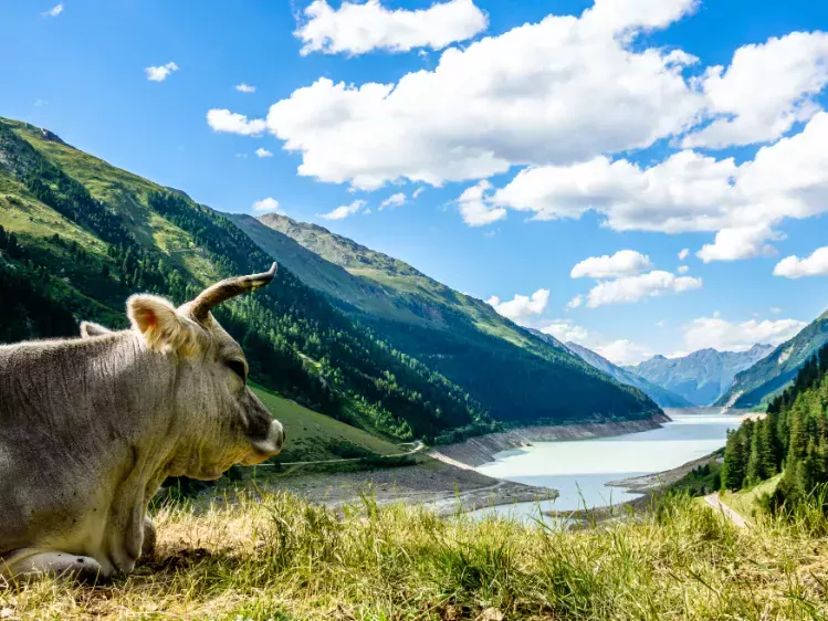 Kaunertal in Oostenrijk