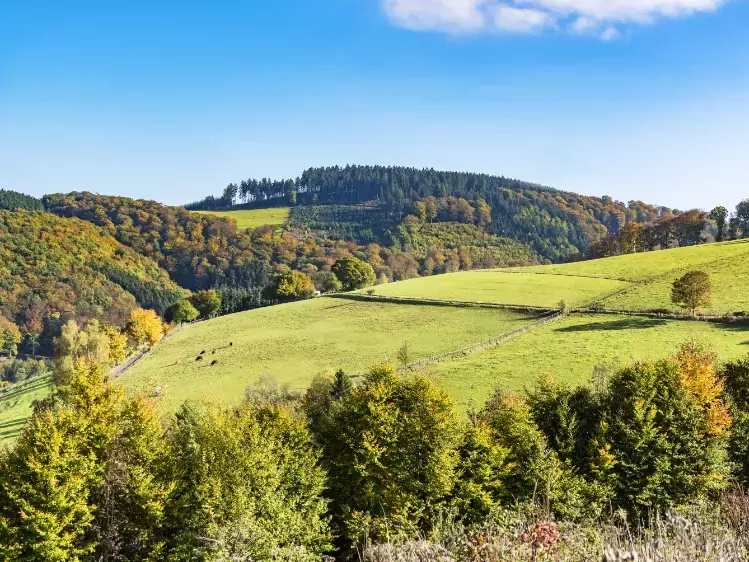 Heuvellandschap van het Sauerland in Duitsland