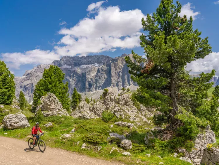 Fietser in de bergen van Zuid-Tirol in Italië