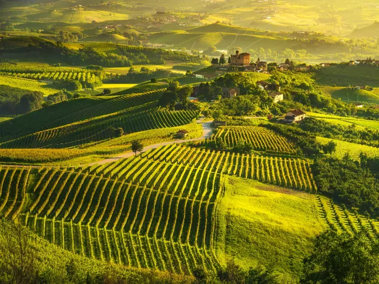 Chiantistreek in Toscane