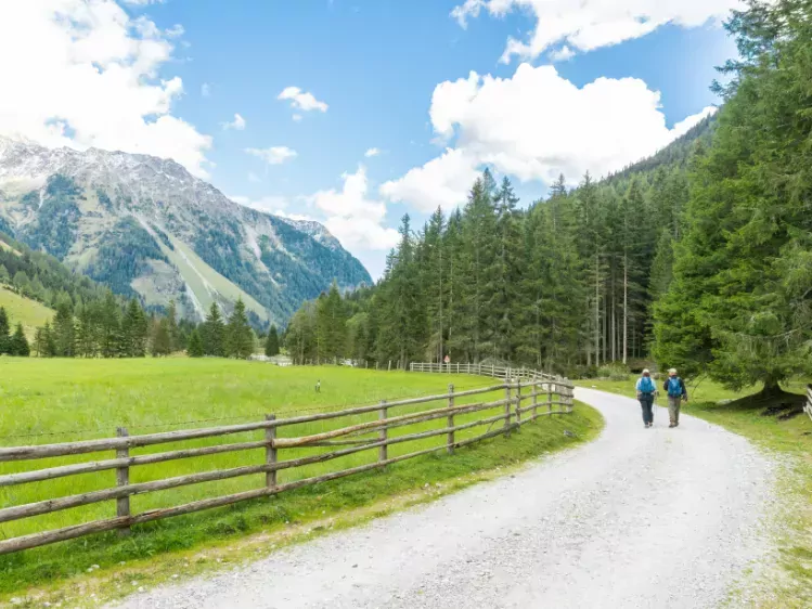 Wandelaars in het Weisspriachtal