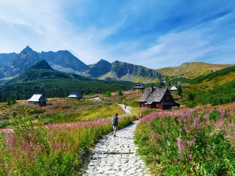 Wandelaar in Tatragebergte in Zakopane