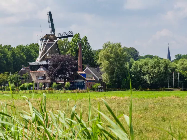 Windmolen bij Museum de Wachter in Zuidlaren