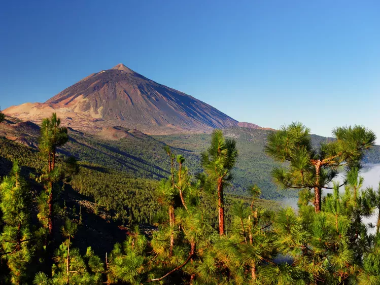 Teide Nationaal Park op Tenerife