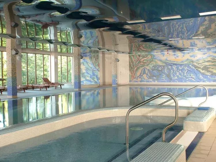 Binnenzwembad Falls Hotel