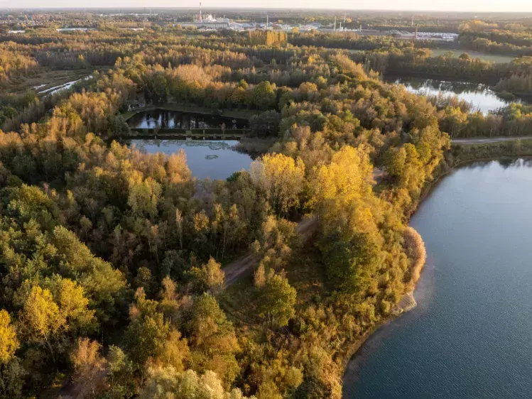 Blakheide meer in Merksplas