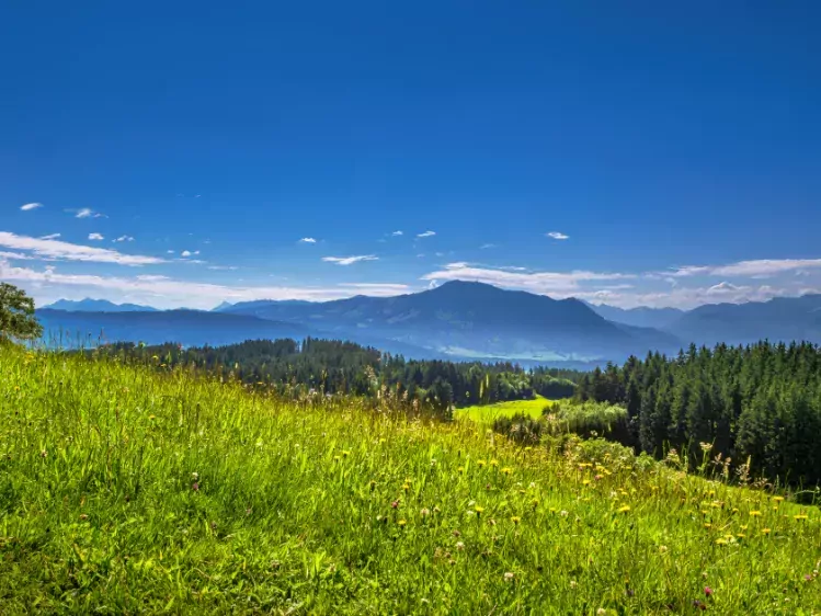 Berglandschap van Allgäu in Duitsland