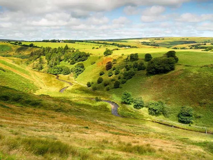 Goat's Hill bij Simonsbath in Exmoor National Park