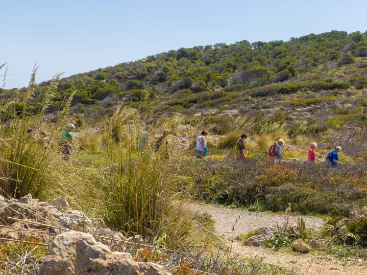 Groep wandelaars in heuvellandschap