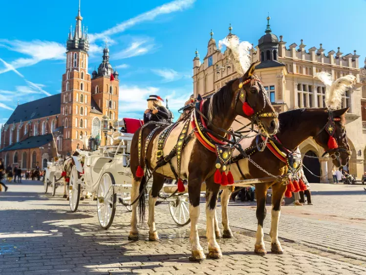 Paard en koets in Krakau