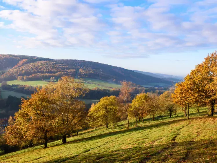 Heuvellandschap van de Ardennen
