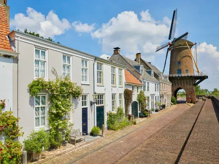 Windmolen in Wijk bij Duurstede