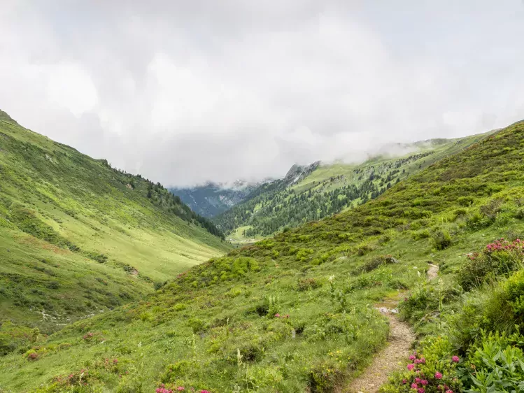Wandelpad in het Riedingtal in Salzburgerland