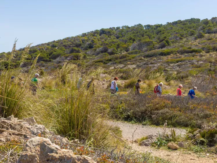 Wandelaars tijdens de Wandel 4-daagse in Mallorca