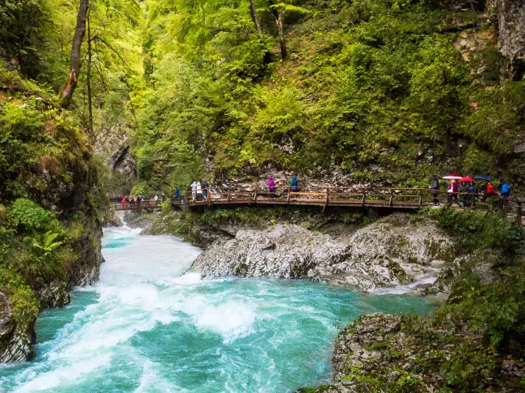 Stroomversnelling in Rivier Radovna in de Vintgar kloof