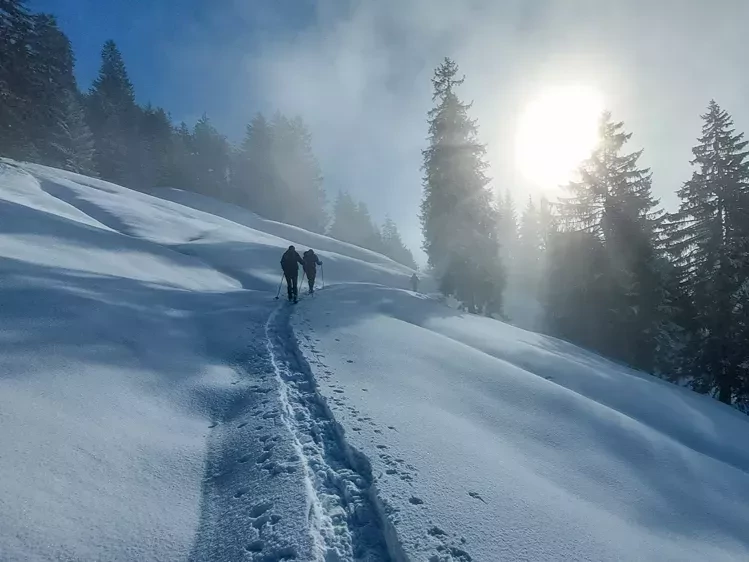 Oostenrijk-Bregenzerwald-sneeuwwandelen