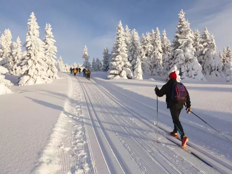 Langlaufers in Oostenrijk