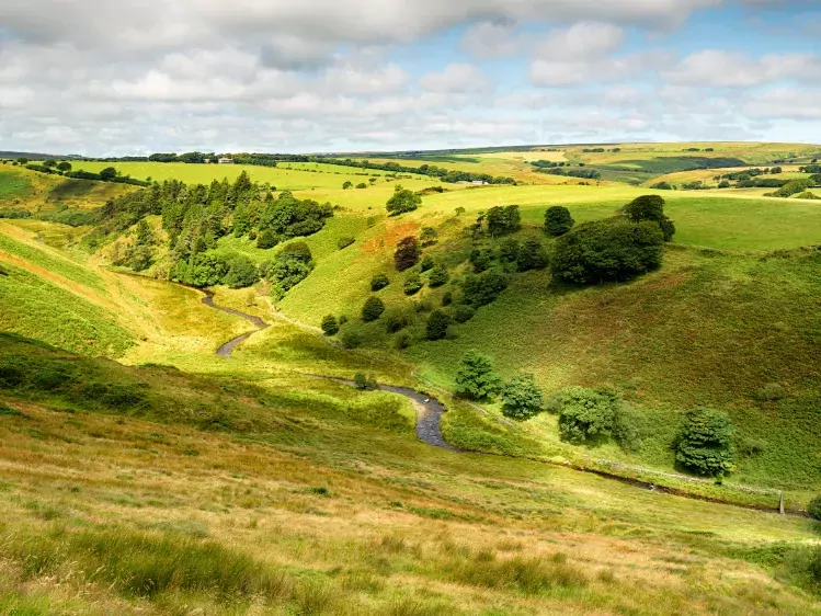 Heuvellandschap van Exmoor National Park