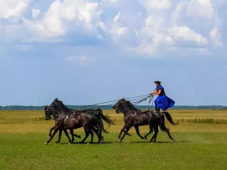 Paardenshow in Puszta