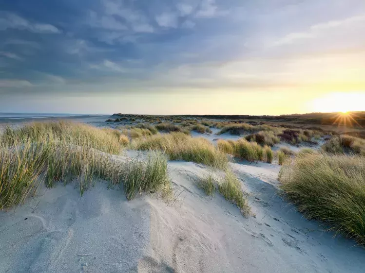 Strand in Schiermonnikoog