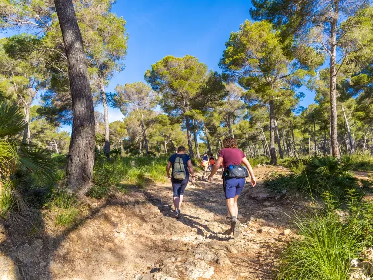 Wandel vierdaagse in Mallorca in het bos