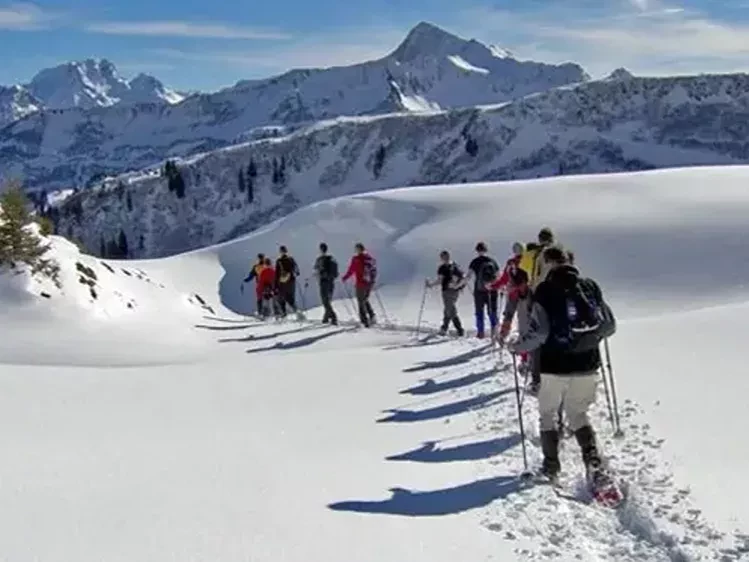Oostenrijk-Bregenzerwald-sneeuwwandelen