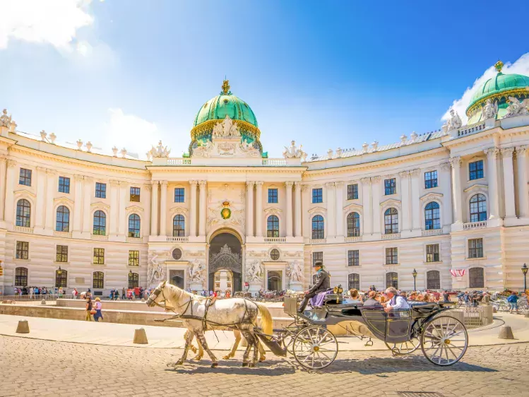Paard en koets in Wenen