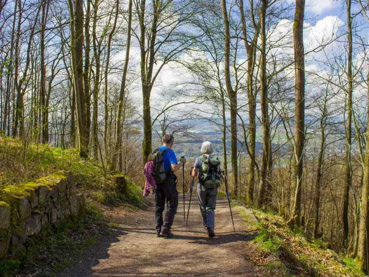Wandelaars in het Siebengebirge in het Sauerland